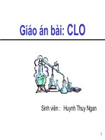 Báo cáo chuyên đề Clo