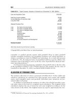 Financial valuation Applications and Models phần 9 potx