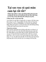 Tại sao rau củ quả màu cam lại rất tốt? ppsx