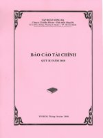 công ty cổ phần đầu tư phát triển sông đà báo cáo tài chính quý 3 năm 2010