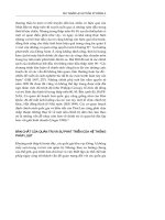 SUY NGẪM LẠI SỰ THẦN KỲ ĐÔNG Á - HOÀNG THANH DƯƠNG – 3 docx