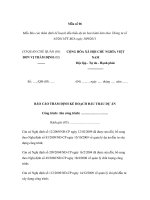 Mẫu Báo cáo thẩm định kế hoạch đấu thầu dự án pdf