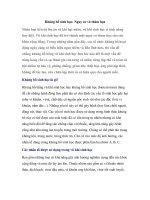 Khủng bố sinh học: Nguy cơ và thảm họa pdf