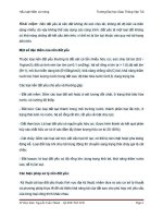 Tiểu luận nền và móng doc