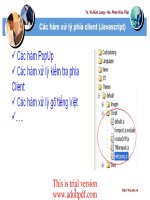 Các hàm xử lý phía client (Javascript) pptx