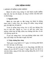 Phòng trị một số bệnh thường gặp trong thú y bằng thuốc Nam part 7 pot