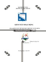 kiểm toán hoạt động kiểm toán thực hiện tiến độ dự án nhà máy nước hội an tỉnh quảng nam