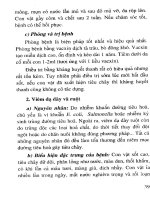 Phòng trị một số bệnh thường gặp trong thú y bằng thuốc Nam part 3 ppsx