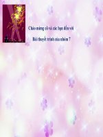 THUYETTRINH_tai chinh tien te chuong 9 pps