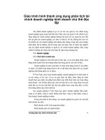 Giáo trình hình thành ứng dụng phân tích tài chính doanh nghiệp kinh doanh chủ thể độc lập p1 doc