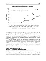 Credit Portfolio Management phần 7 pptx