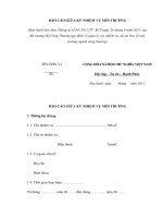 BÁO CÁO GIỮA KỲ NHIỆM VỤ MÔI TRƯỜNG potx