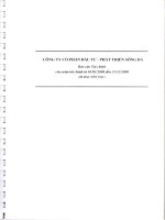 công ty cổ phần đầu tư phát triển sông đà báo cáo tài chính cho năm tài chính từ 1 tháng 1 năm 2008 đến 31 tháng 12 năm 2008 đã được kiểm toán