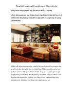 Phòng khách sang trọng kết hợp giữa truyền thống và hiện đại potx