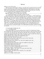 Bênh E.Coli ở gia súc docx