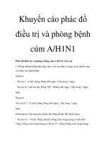 Khuyến cáo phác đồ điều trị và phòng bệnh cúm A/H1N1 pps