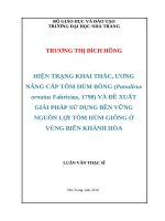 HIỆN TRẠNG KHAI THÁC, ƯƠNG  NÂNG cấp tôm hùm BÔNG (panulirus  ornatus fabricius, 1798) và đề XUẤT  GIẢI PHÁP sử DỤNG bền VỮNG  NGUỒN lợi tôm hùm GIỐNG ở  VÙNG BIỂN KHÁNH hòa