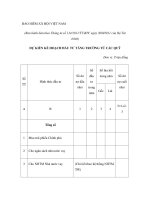 MẪU DỰ KIẾN KẾ HOẠCH ĐẦU TƯ TĂNG TRƯỞNG TỪ CÁC QUỸ pdf