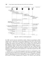 IP-Based Next-Generation Wireless Networks phần 5 doc