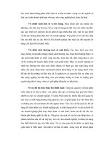 Giáo trình hình thành phân đoạn ứng dụng phát triển nền kinh tế thị trường thuần túy trong khối công nghiệp p4 pot