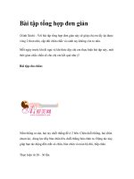 Bài tập tổng hợp đơn giản pptx