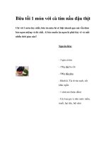 Bữa tối 1 món với cà tím nấu đậu thịt ppt