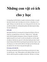 Những con vật có ích cho y học ppsx