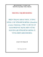 HIỆN TRẠNG KHAI THÁC, ƯƠNG  NÂNG cấp tôm hùm BÔNG (panulirus  ornatus fabricius, 1798) và đề XUẤT  GIẢI PHÁP sử DỤNG bền VỮNG  NGUỒN lợi tôm hùm GIỐNG ở  VÙNG BIỂN KHÁNH hòa