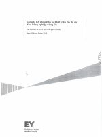công ty cổ phần đầu tư phát triển đô thị và khu công nghiệp sông đà các báo cáo tài chính hợp nhất giữa niên độ 30 tháng 6 năm 2013