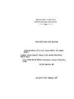 ẢNH HƯỞNG của các LOẠI THỨC ăn, điều KIỆN  CHIẾU SÁNG KHÁC NHAU lên SINH TRƯỞNG, PHÁT dục  của tôm hùm BÔNG(Panulirus ornatusfabricius, 1798)  NUÔI TRONG bể