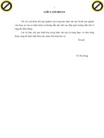 Nghiên cứu ảnh hưởng của một số chế phẩm có chứa chất kích ứng miễn dịch lên khả năng kháng bệnh xuất huyết lở loét  trên cá mú e  coioides