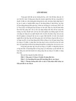 Các hoạt động liên quan đến hoạt động đầu tư của công ty Xi măng Bỉm Sơn