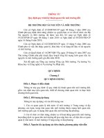 THÔNG TƯ Quy định quy trình kỹ thuật quan trắc môi trường đất doc