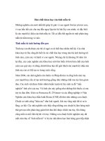 Bản chất khoa học của tình mẫu tử potx