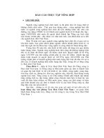 Hoạt động của văn phòng tổng công ty hoá chất Việt Nam