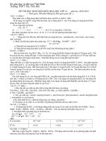 ĐỀ THI HỌC SINH GIỎI MÔN HOÁ HỌC LỚP 12 : năm học 2010-2011 pptx