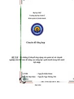 đề tài từ những lý thuyết ứng dụng vào quản trị các doanh nghiệp như thế nào để nâng cao năng lực cạnh tranh trong bối cảnh hội nhập