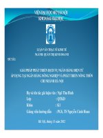 Giải pháp phát triển dịch vụ ngân hàng điện tử áp dụng tại ngân hàng nông nghiệp và phát triển nông thôn chi nhánh hà nội slide