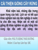 bài tập nhóm cải thiện giống cây rừng