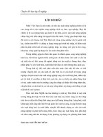 Phát triển thị trường tiêu thụ sản phẩm phục vụ xây dựng cánh đồng có giá trị kinh tế cao hưng hà   thái bình