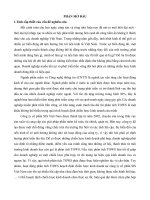 Phân tích TOWS hoạch định chiến lược kinh doanh của công ty cổ phần SIS Việt Nam