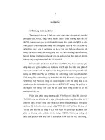 Thương mại dịch vụ viễn thông theo quy định của WTO và các cam kết của Việt Nam