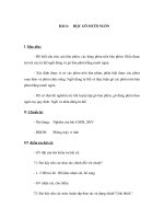 GIÁO ÁN MÔN TIN HỌC LỚP 6 - BÀI 6 pps