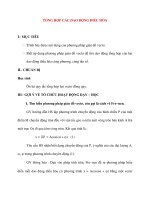 Vật lý 12 Phân ban: TỔNG HỢP CÁC DAO ĐỘNG ĐIỀU HÒA ppt