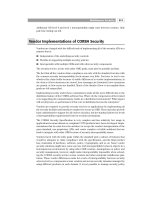 Designing Security Architecture Solutions phần 6 ppsx