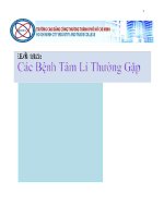 Tiểu luận các bệnh tâm lý thường gặp