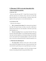 Tác động tiêu cực của dòng vốn FDI