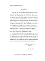 Mạng truy nhập Quang đa dịch vụ