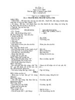 giáo án tuần 2 lớp 1