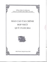 tổng công ty sông đà công ty cổ phần thủy điện cần đơn báo cáo tài chính hợp nhất quý 1 năm 2014